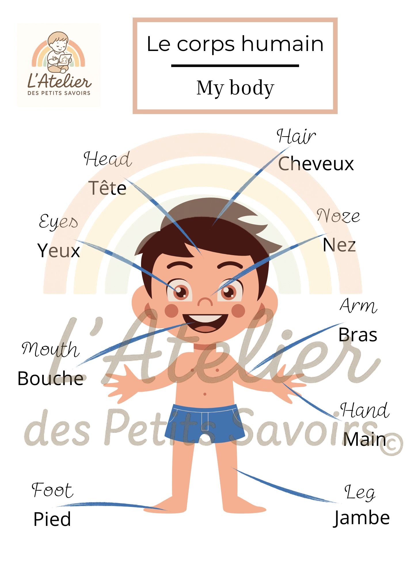 Apprendre le corps humain